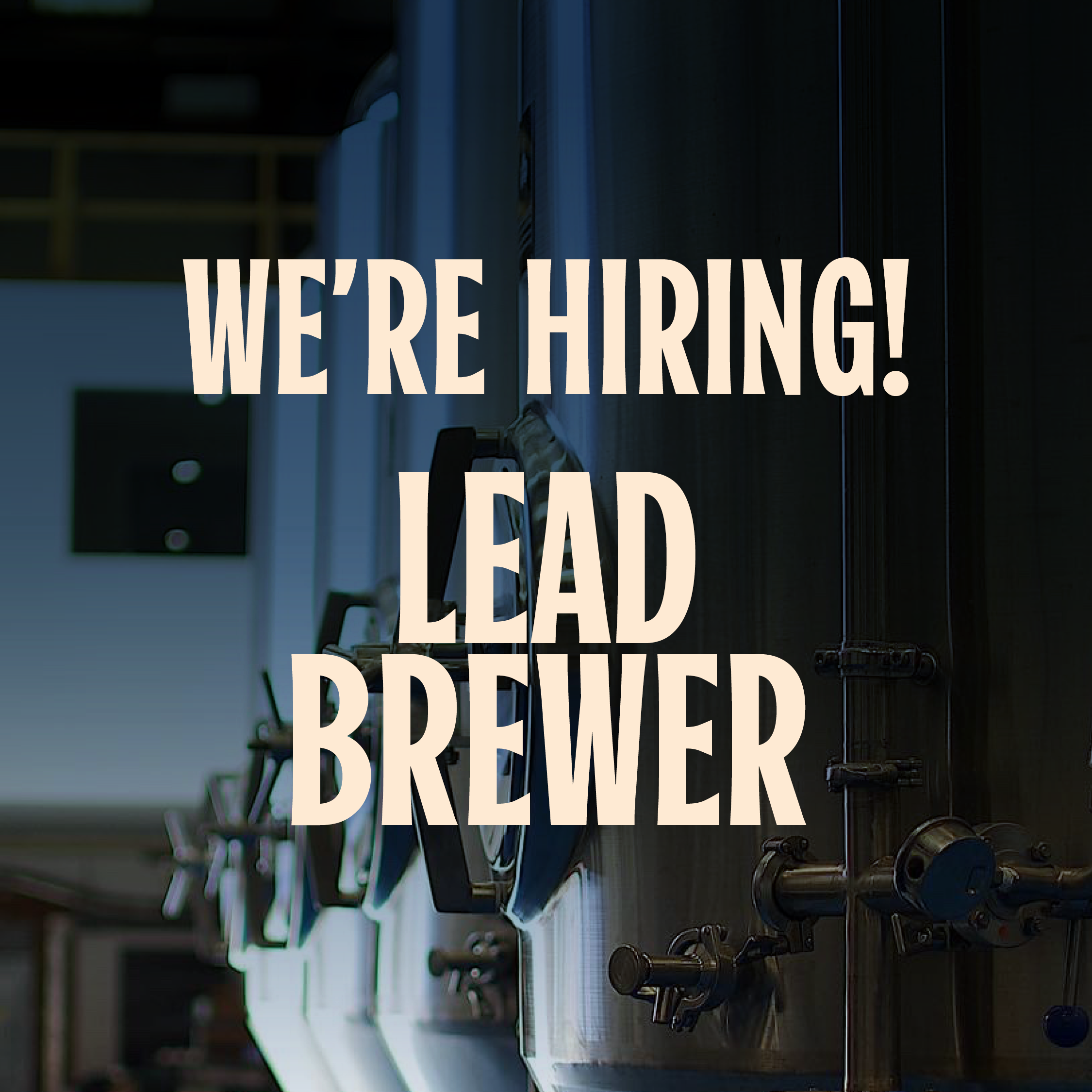 We Are Hiring : Lead Brewer