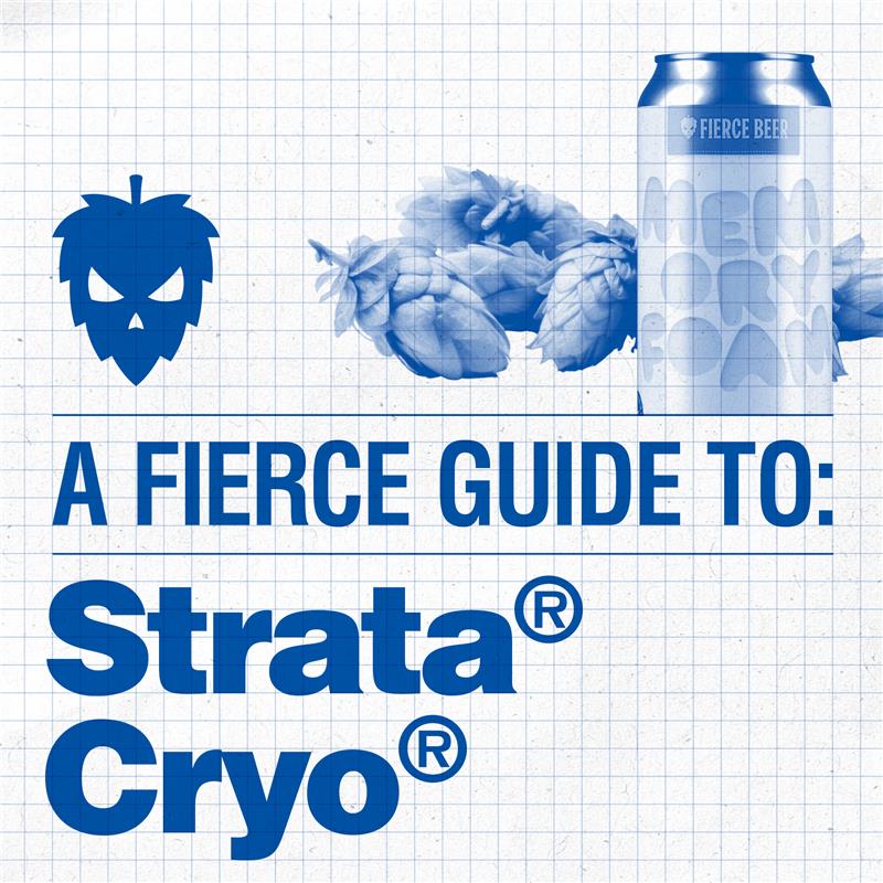 A Fierce Guide to: Strata® Cryo Hops®